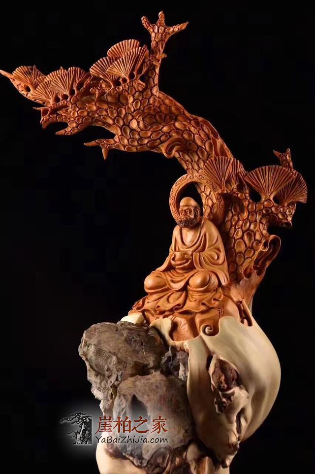 如何认知崖柏?要收藏这个-1