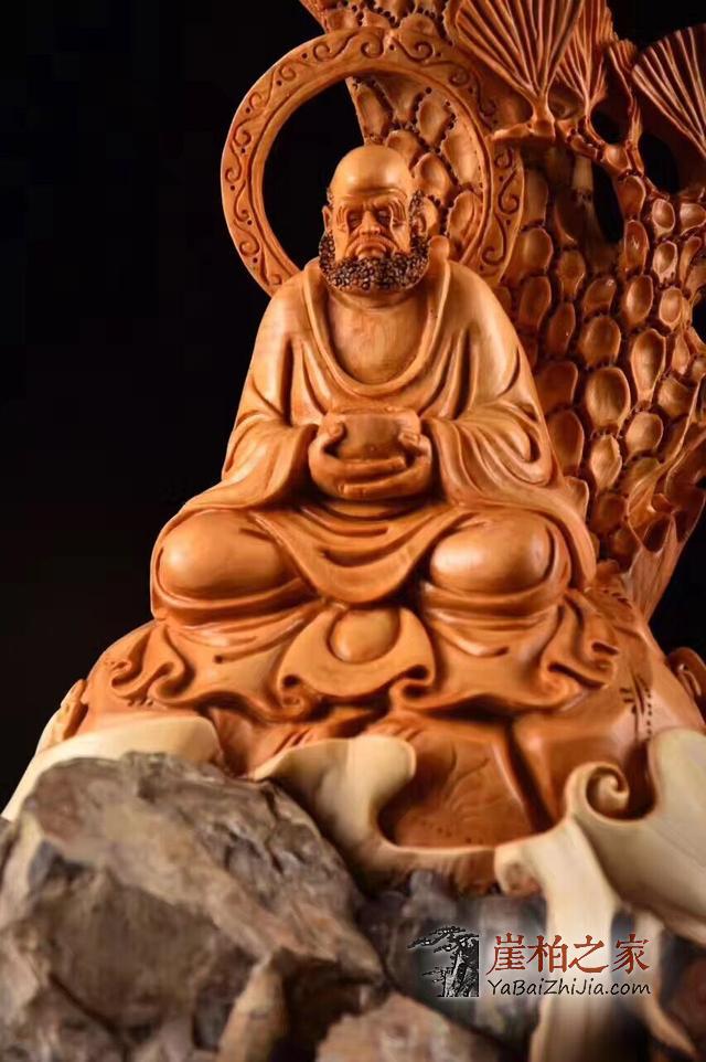 如何认知崖柏?要收藏这个-2