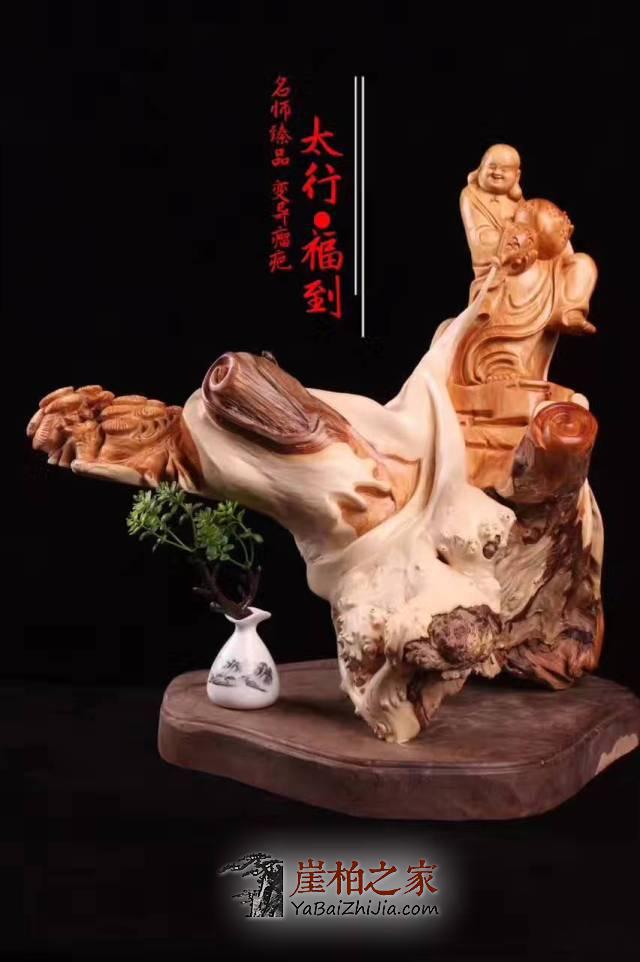 这是一个看颜值的时代,崖柏也不例外-2