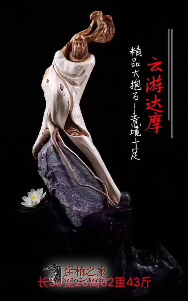 这是一个看颜值的时代,崖柏也不例外-4