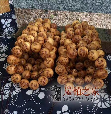 看图说话!真正太行崖柏手串、川料手串、太行土柏手串都长什么样?-5
