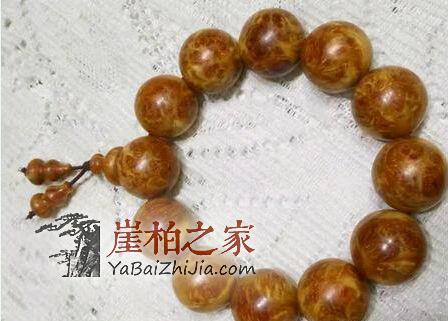 以气味区分崖柏所属地,靠谱吗?-1