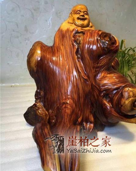 以气味区分崖柏所属地,靠谱吗?-2