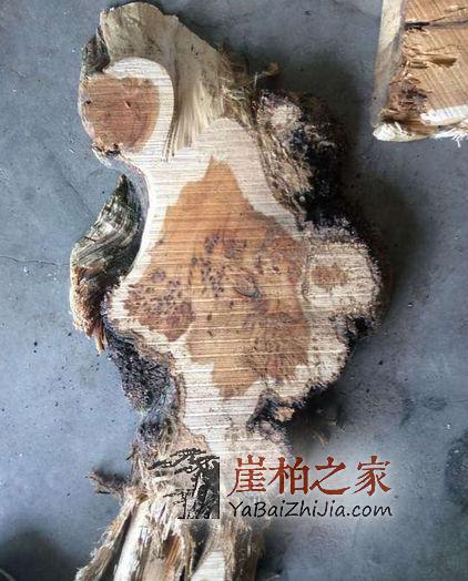 什么是崖柏生料,崖柏生料手串值得盘玩吗?-2