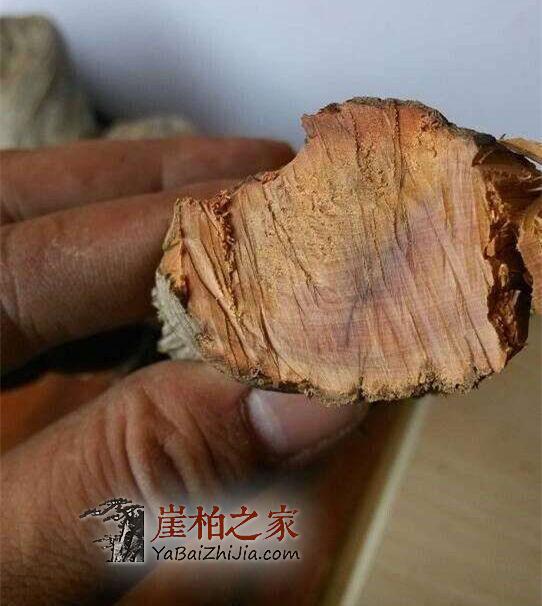纯干货:详细介绍崖柏陈化料的特性-2