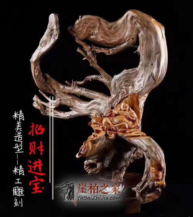 崖柏投资有风险,要把握“机会成本”-2