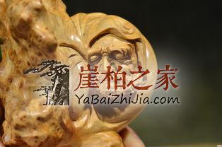 盘玩崖柏的几大法则,你是否逾越了?-2