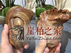 盘玩崖柏的几大法则,你是否逾越了?-4