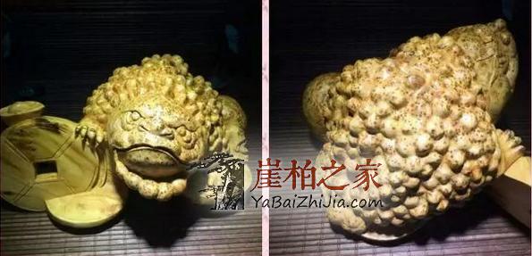崖柏知识|太行料,川料,藏料该怎样区分,不想被商家忽悠的赶紧-1