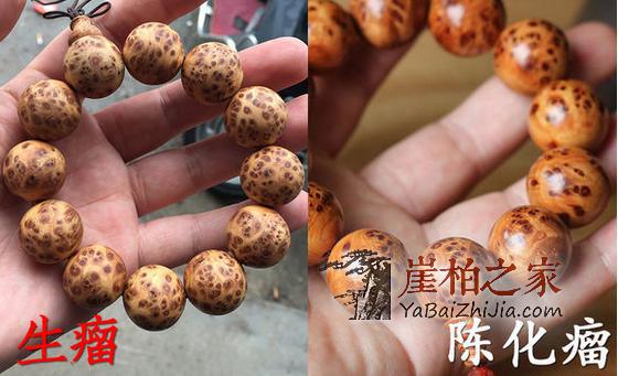崖柏干货知识:教你如何区分崖柏的真假-6