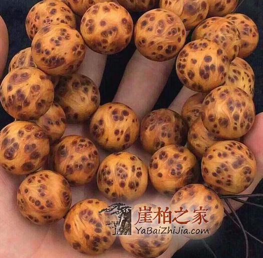 崖柏干货知识:教你如何区分崖柏的真假-7