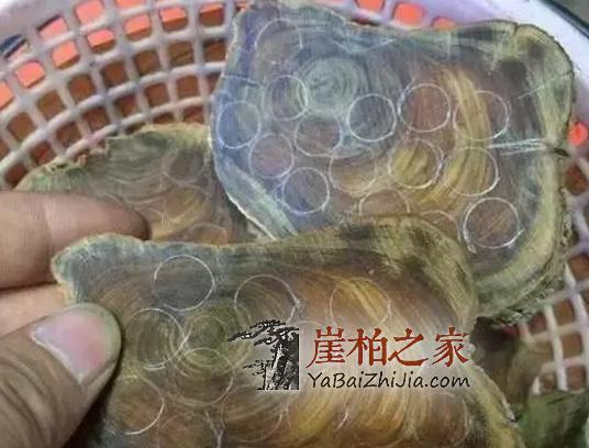 冒黑油的崖柏手串,油亮有光泽,你盘过吗?-2