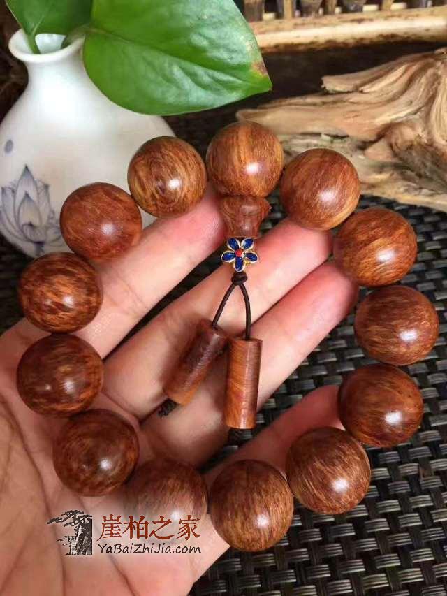 什么原因造就了崖柏价格的天壤之别?