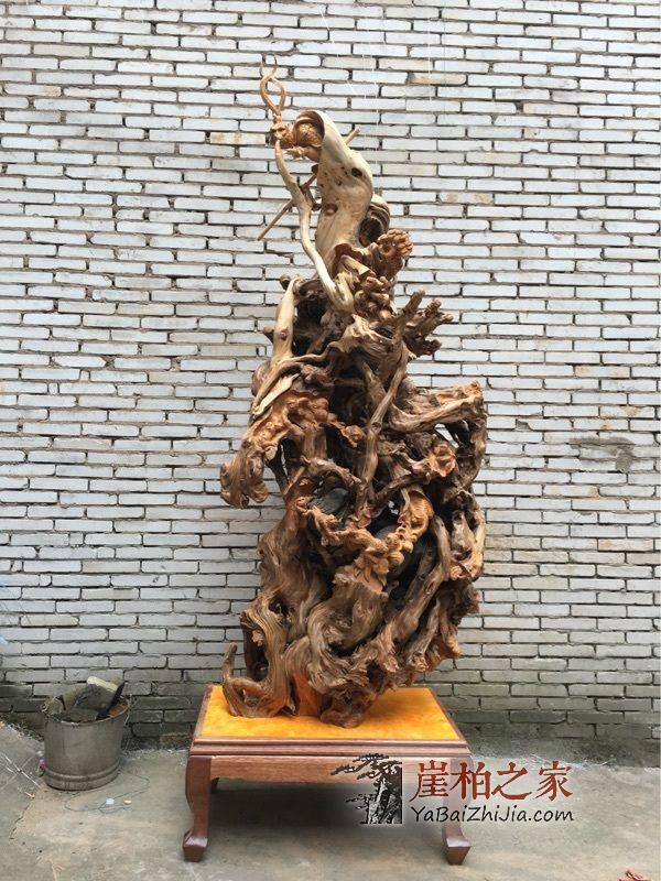 专家怎么评判崖柏根雕的好坏 到底哪值钱了?-2