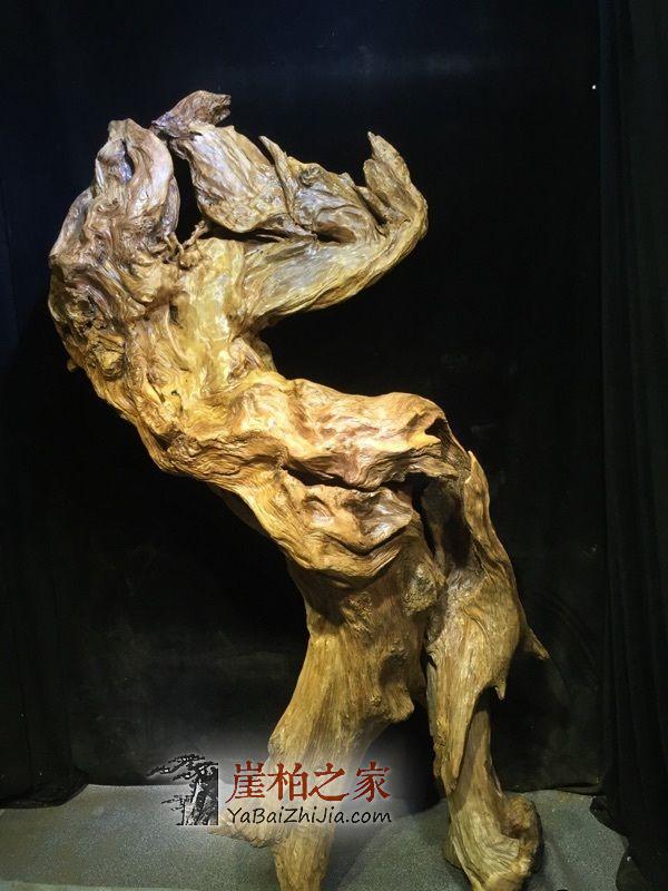 专家怎么评判崖柏根雕的好坏 到底哪值钱了?-3