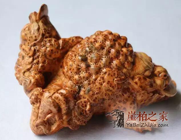 崖柏也要天天洗脸,周周洗澡,这些你都知道吗?-1