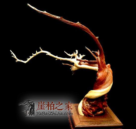 为什么很多木雕师保留了崖柏的白皮?白皮是什么?-3