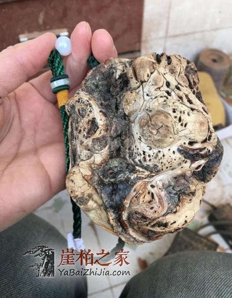 只听说过崖柏生料、陈化料,没想到还有黑金刚料!-2