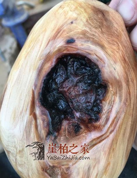 只听说过崖柏生料、陈化料,没想到还有黑金刚料!-3
