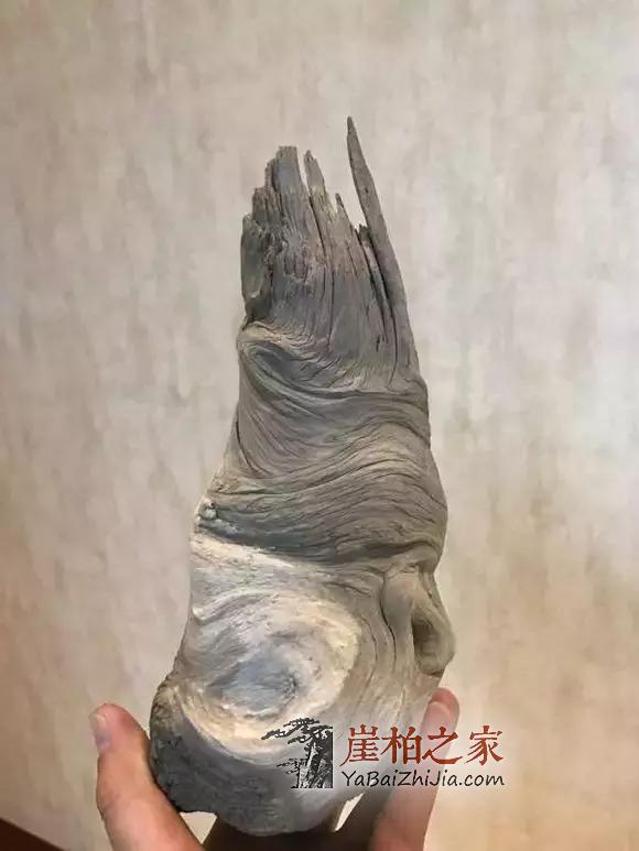 给别墅豪车都不换的崖柏,到底什么样?-1