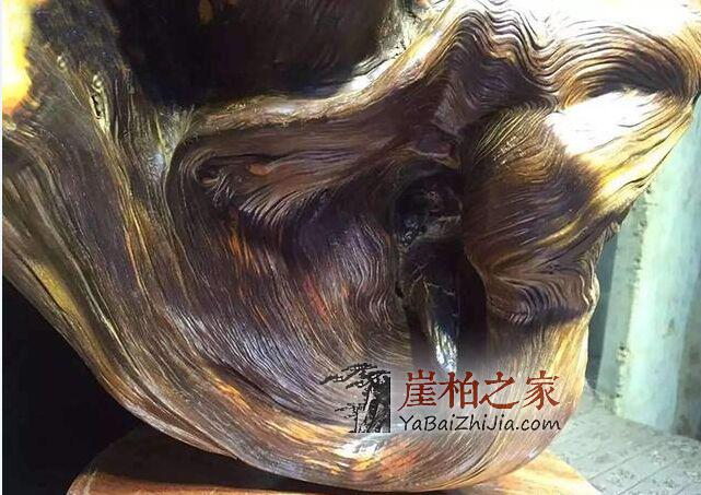 何谓崖柏坨坨料?-1