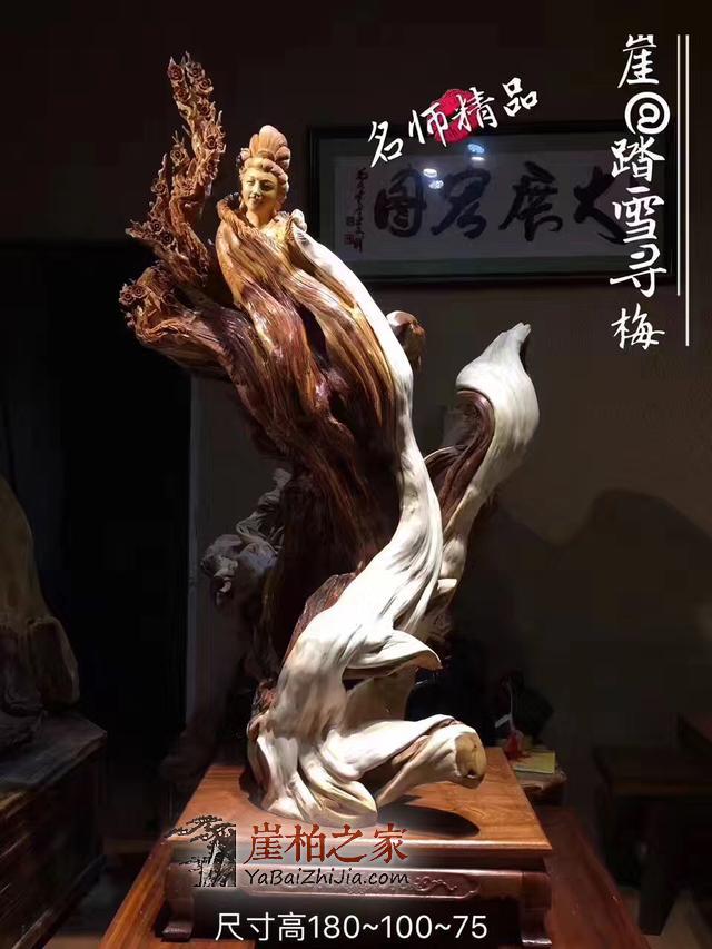 想和崖柏和谐共处,就得先摸透它的脾气!-1