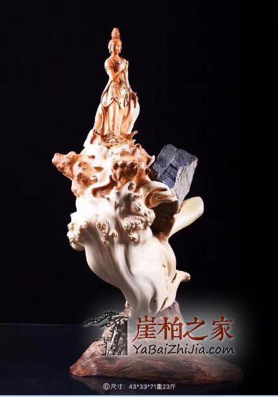 想和崖柏和谐共处,就得先摸透它的脾气!-2