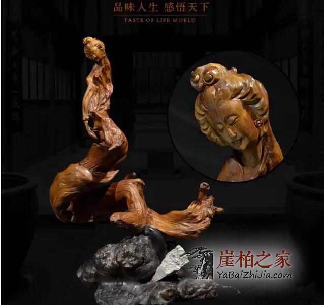 想和崖柏和谐共处,就得先摸透它的脾气!-4