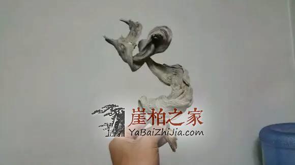 据说崖柏这“五美”,99%的玩柏人都无法抗拒-6