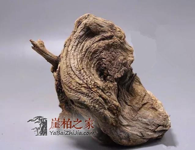 崖柏常识:崖柏火爆的几种料-1