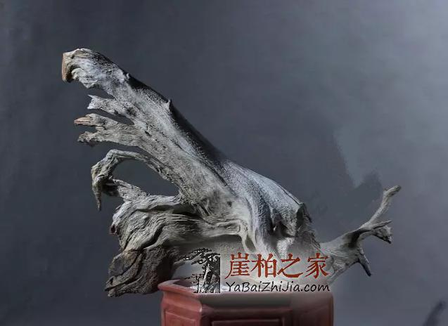 崖柏常识:崖柏火爆的几种料-6