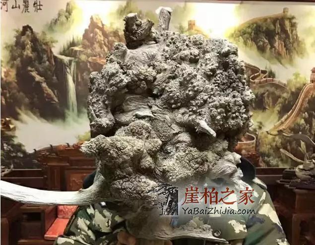 崖柏常识:崖柏火爆的几种料-8