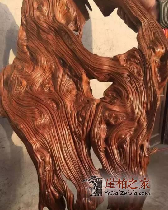 崖柏让人欲罢不能的迷人之处!-4