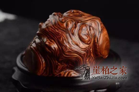 为什么那么多人喜欢崖柏,原来因为它-5