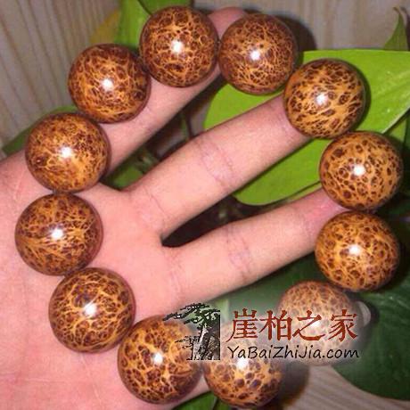 涨知识:崖柏为什么是太行的好?-1