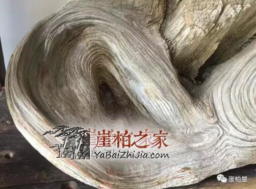 崖柏的玩法有多少种?崖柏内行人透露的秘密-1