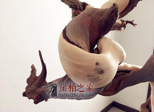 什么是崖柏阴阳料?小编还真的是第一次听说-1
