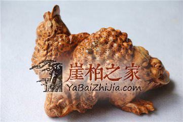 十种方法教你赏析崖柏根雕,赶紧get起来~-1