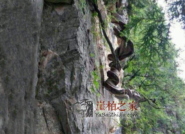老人在悬崖峭壁无人救,却引来一片唾骂-1