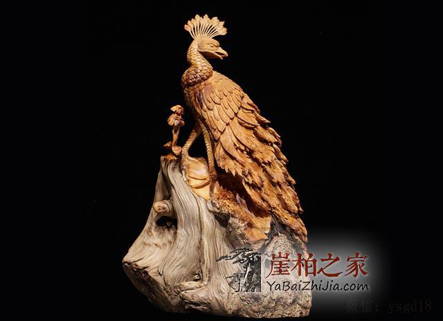 老人在悬崖峭壁无人救,却引来一片唾骂-4