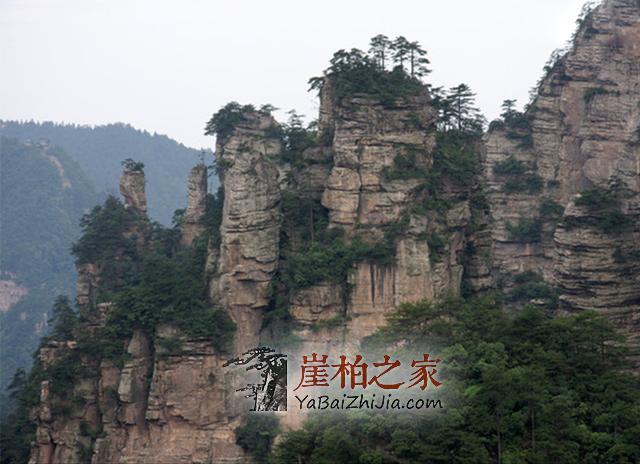 老人在悬崖峭壁无人救,却引来一片唾骂-8