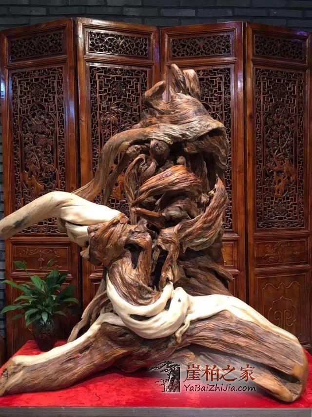 听说明星大咖没了这样东西都不行!-1