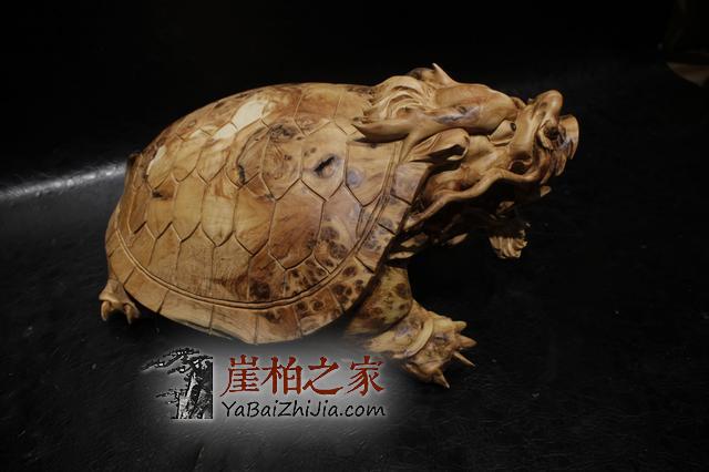 听说明星大咖没了这样东西都不行!-5