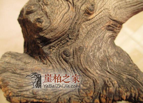 你知道怎么区分崖柏生料,老料,陈化料吗?-7