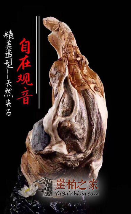崖柏根抱石:大自然的鬼斧神工!-3