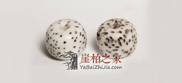 崖柏瘤疤,怎么看优劣?-2