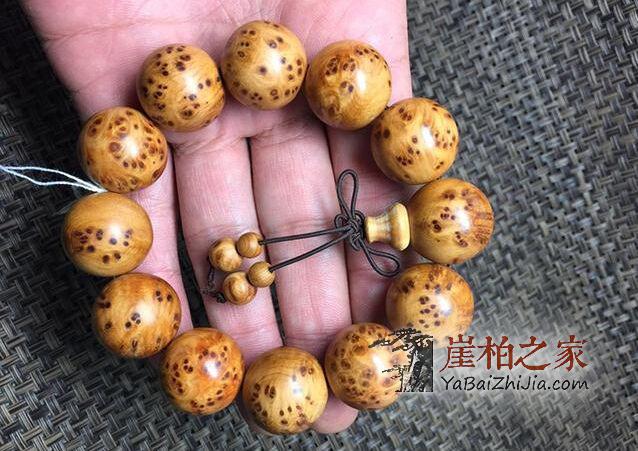 崖柏瘤疤,怎么看优劣?-3