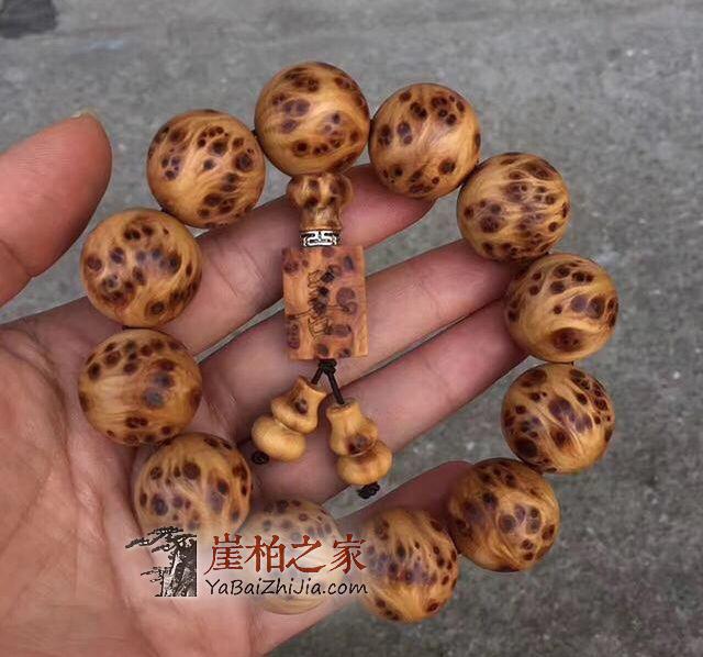 千姿百态品崖柏,百转千回悟人生-4