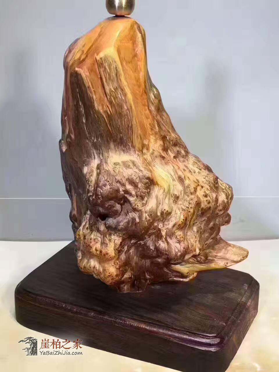 崖柏爆满瘤疤凉山料倒流香 造型完美瘤疤密集-6