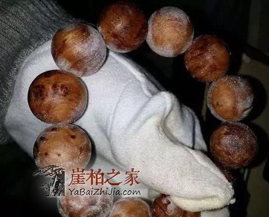 关于崖柏手串发霉的五种说法,哪种说法靠谱?-1